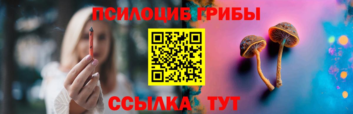 Вольск  Галлюциногенные грибы ЛСД  Вход с VPN 
